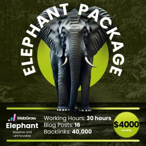 Elephant SEO Package