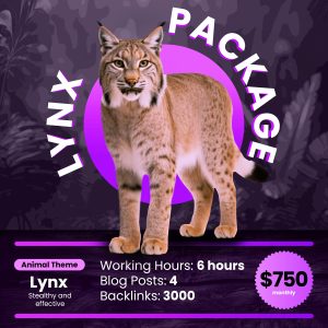 Lynx SEO Package